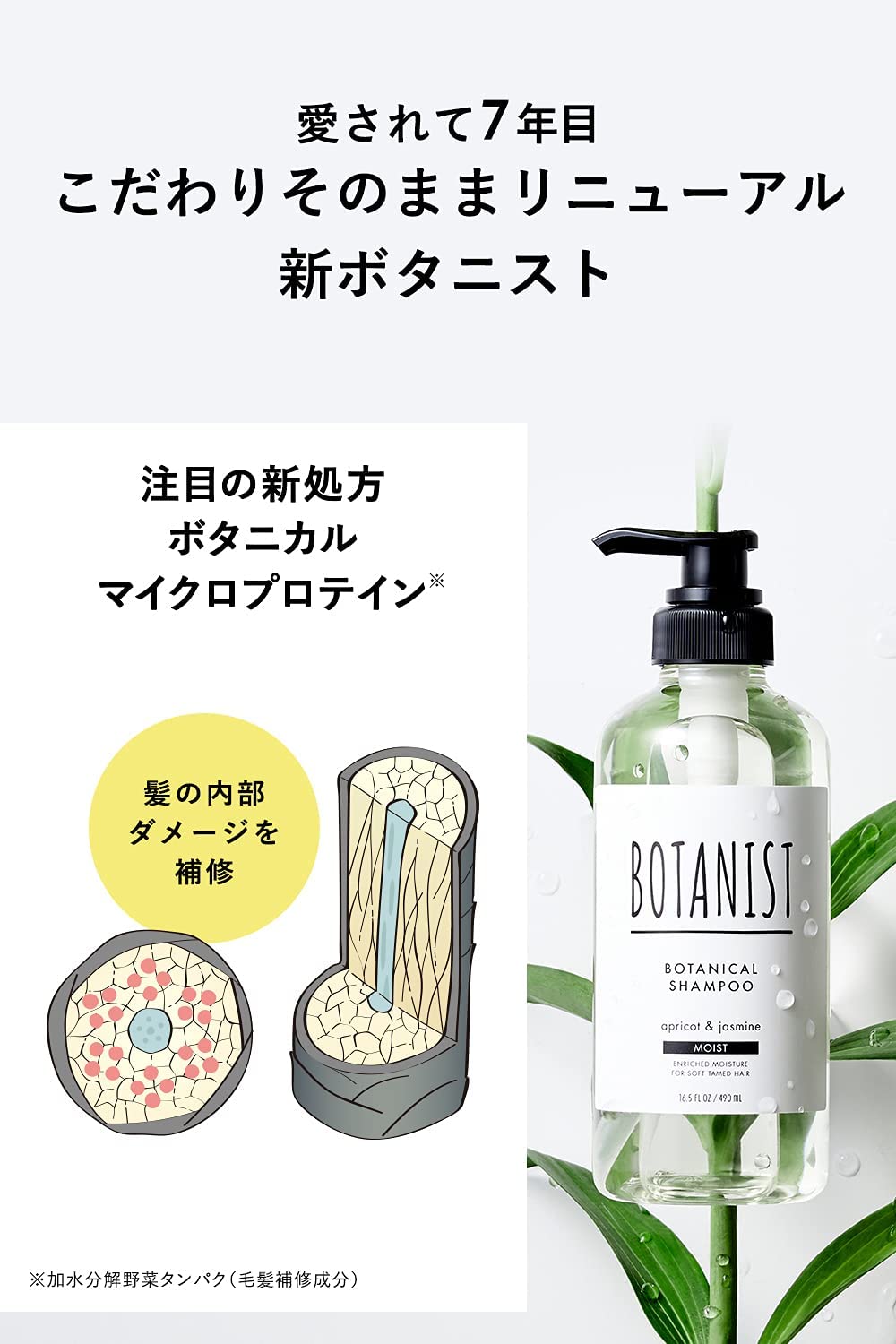 Botanical Shampoo Moist, Refill