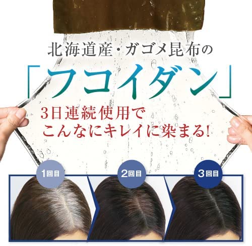 LPLP Hair Treatment Mocha Brown 200g