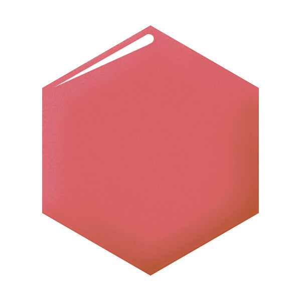 INTEGRATE JUICY BALM GLOSS RD373
