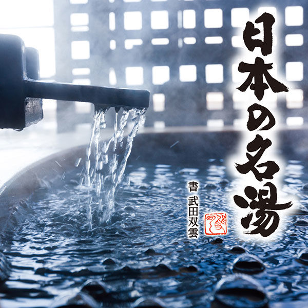 Japanese Famous Hot Spring Bath Salt 450g